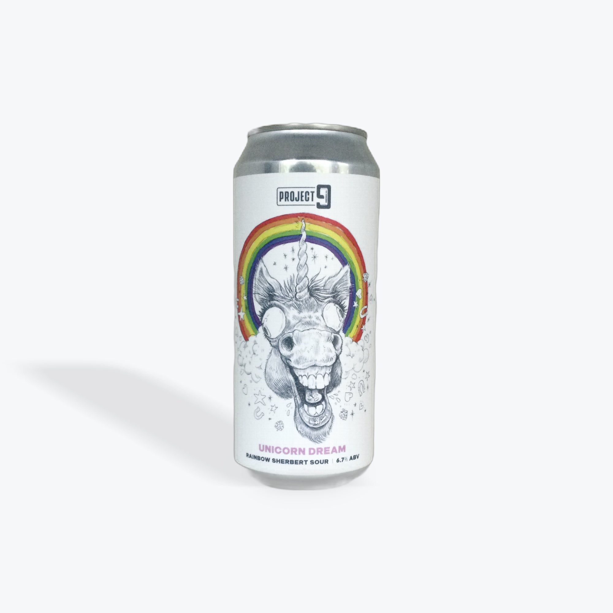 Project 9 Unicorn Dream